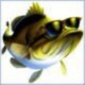 Meet your Posher, Harry